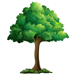 A walk in His garden