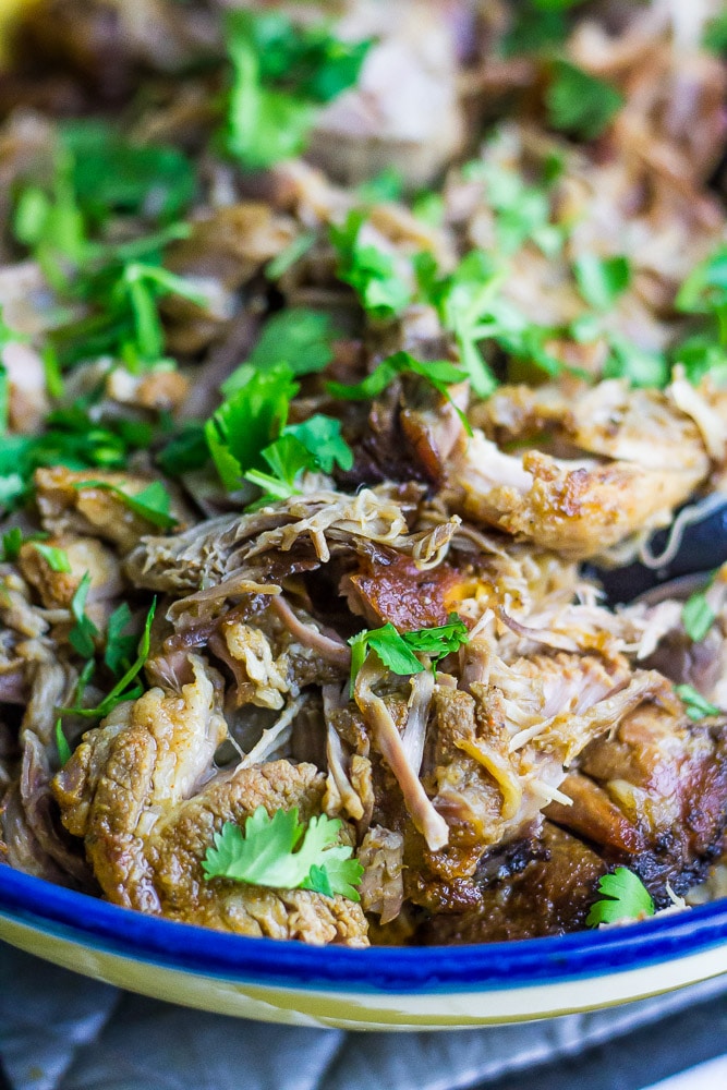 Lime Cilantro Carnitas