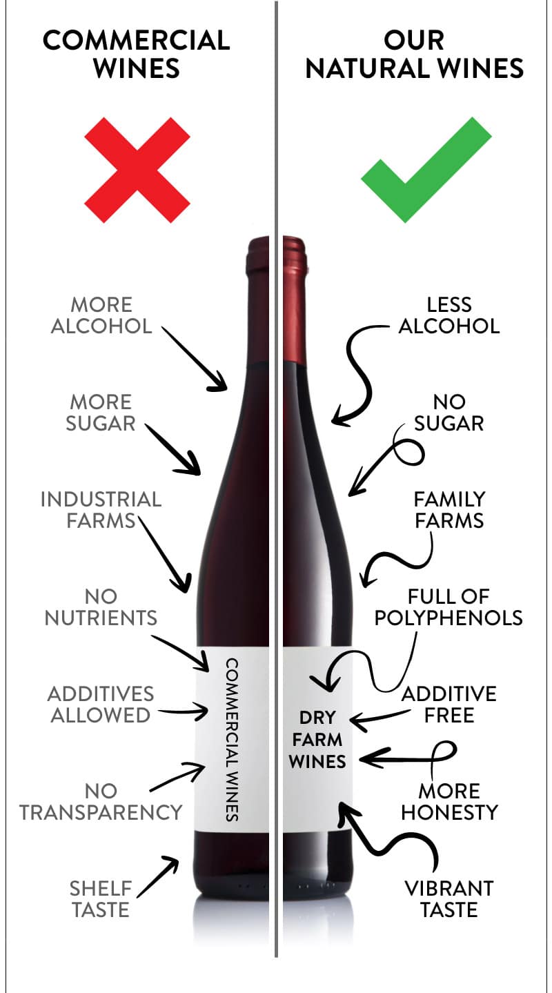 The BEST Keto Wine The Kellie Kitchen