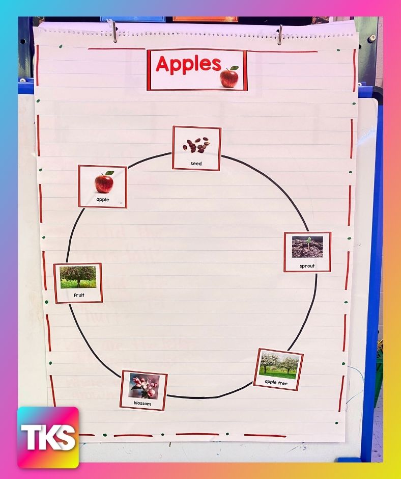 kindergarten apple activities labeling the parts of an apple