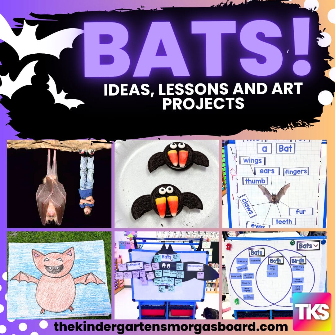 bats science lessons