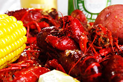 Crawfish Photo