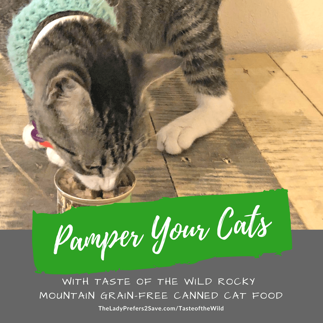 taste of the wild rocky mountain review