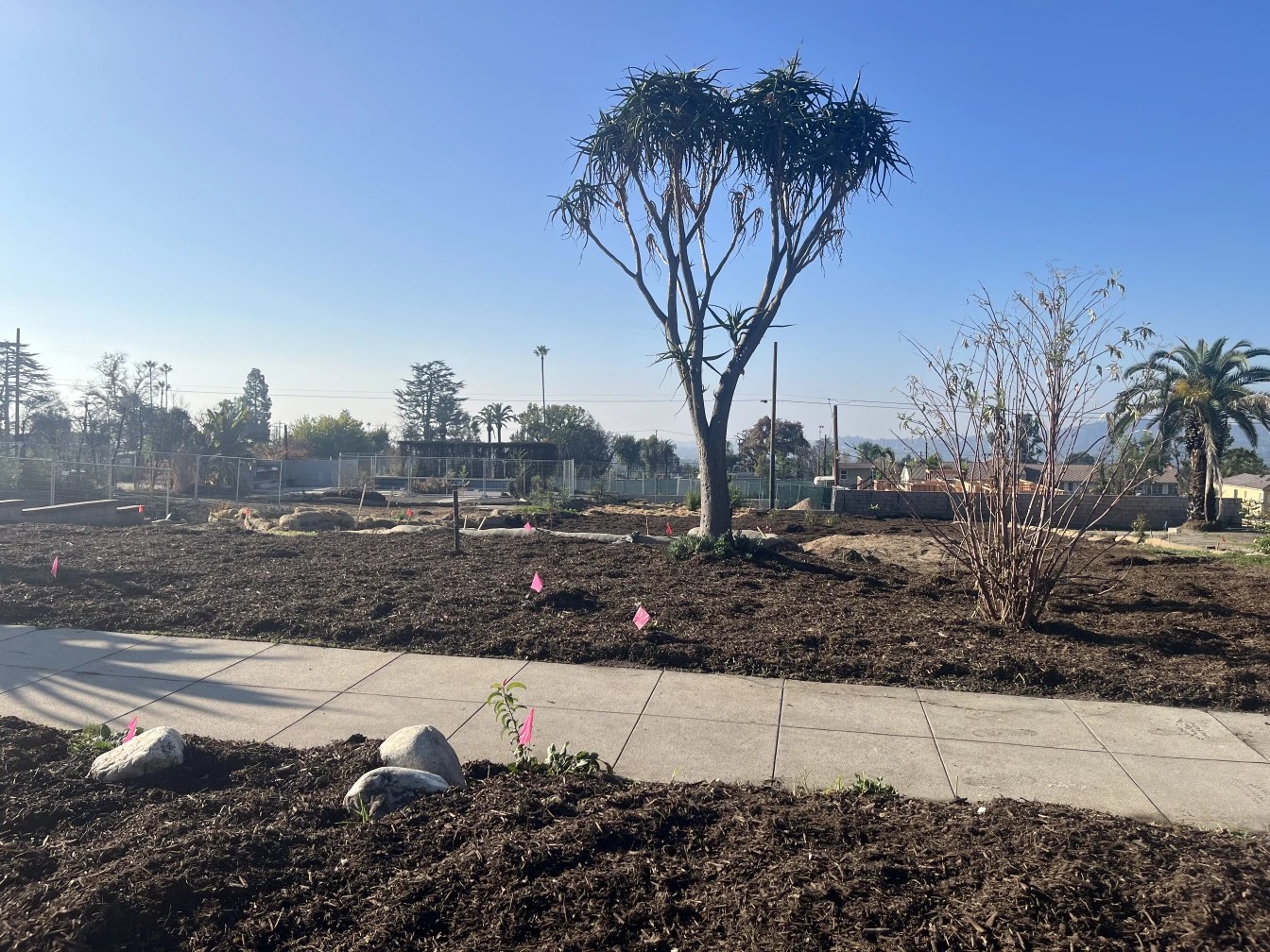 The grounds of Lydia Whitlock's property covered in organic mulch.