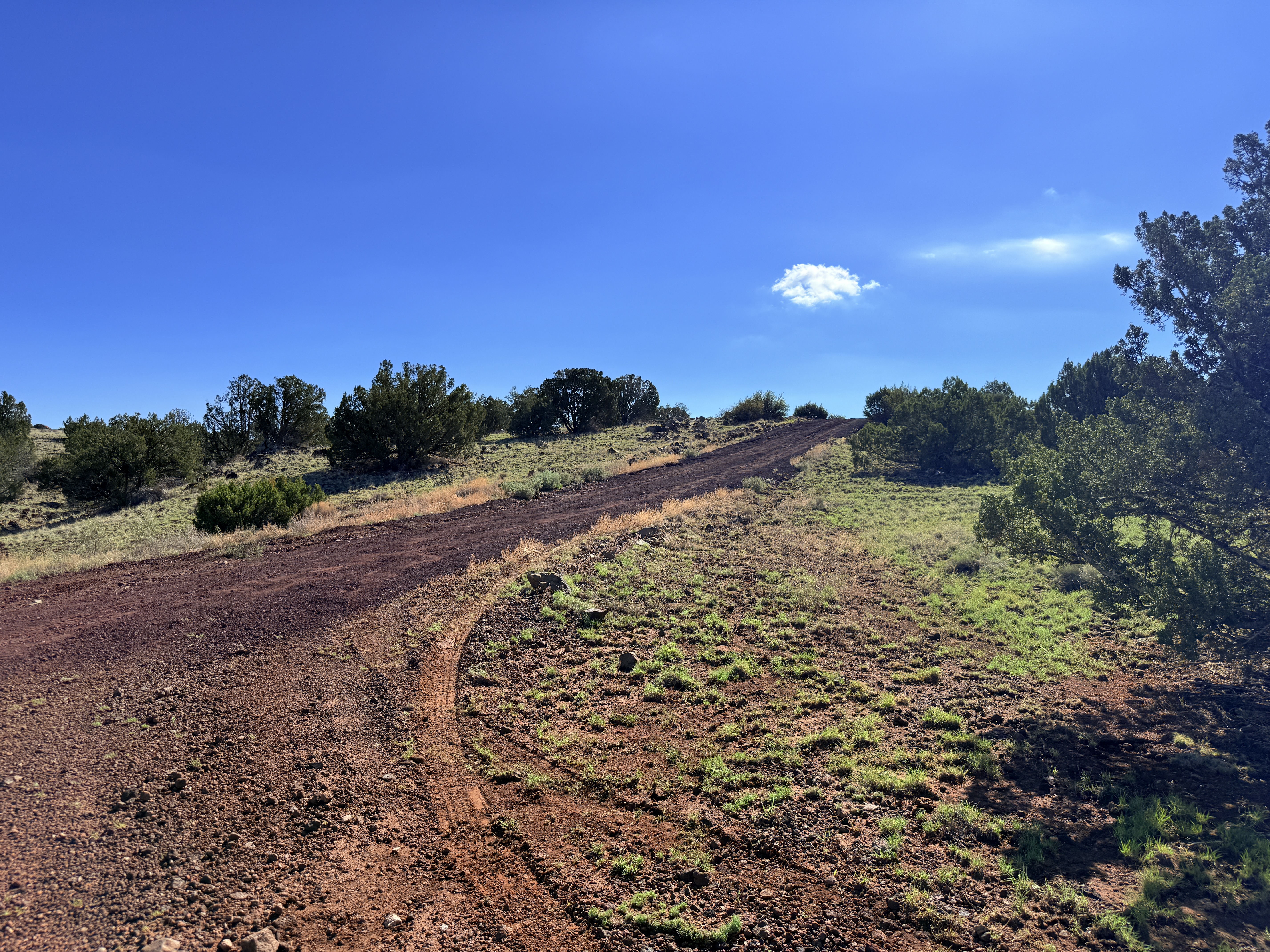 3.1 Acres in Candy Kitchen, New Mexico