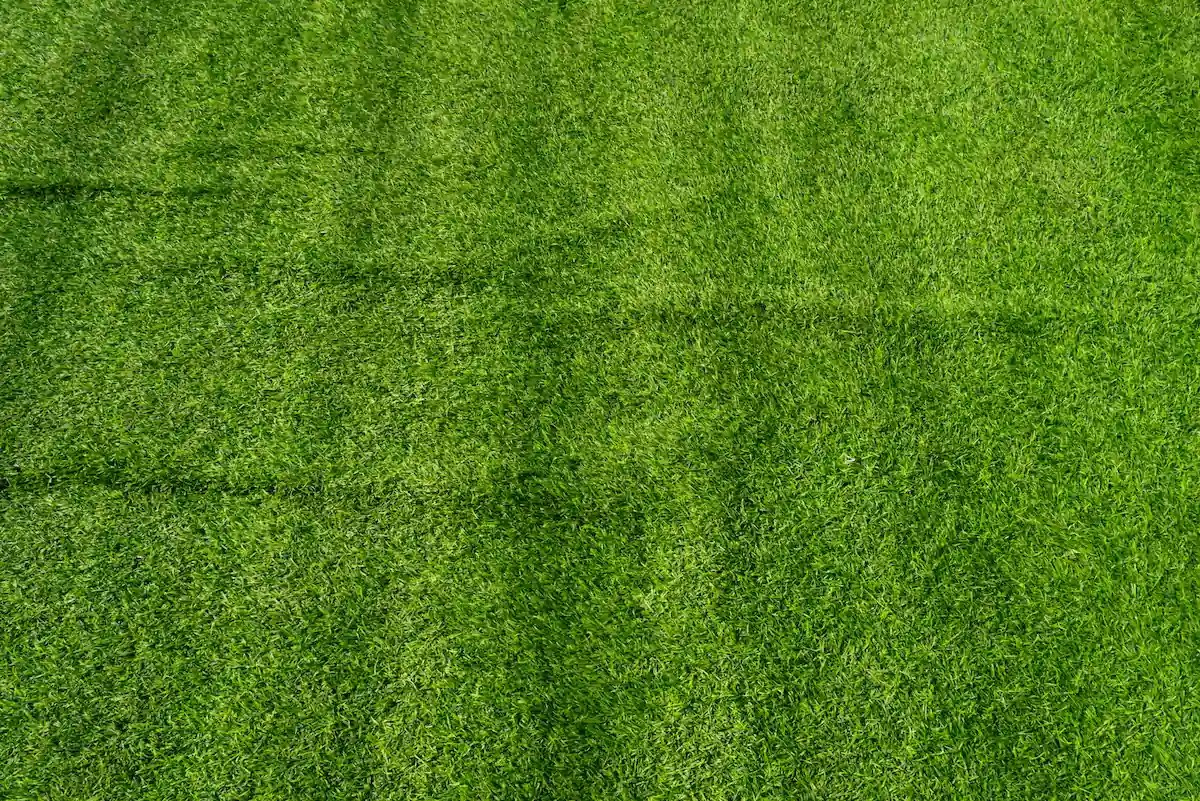Turf Renovation and Seasonal Reset Services