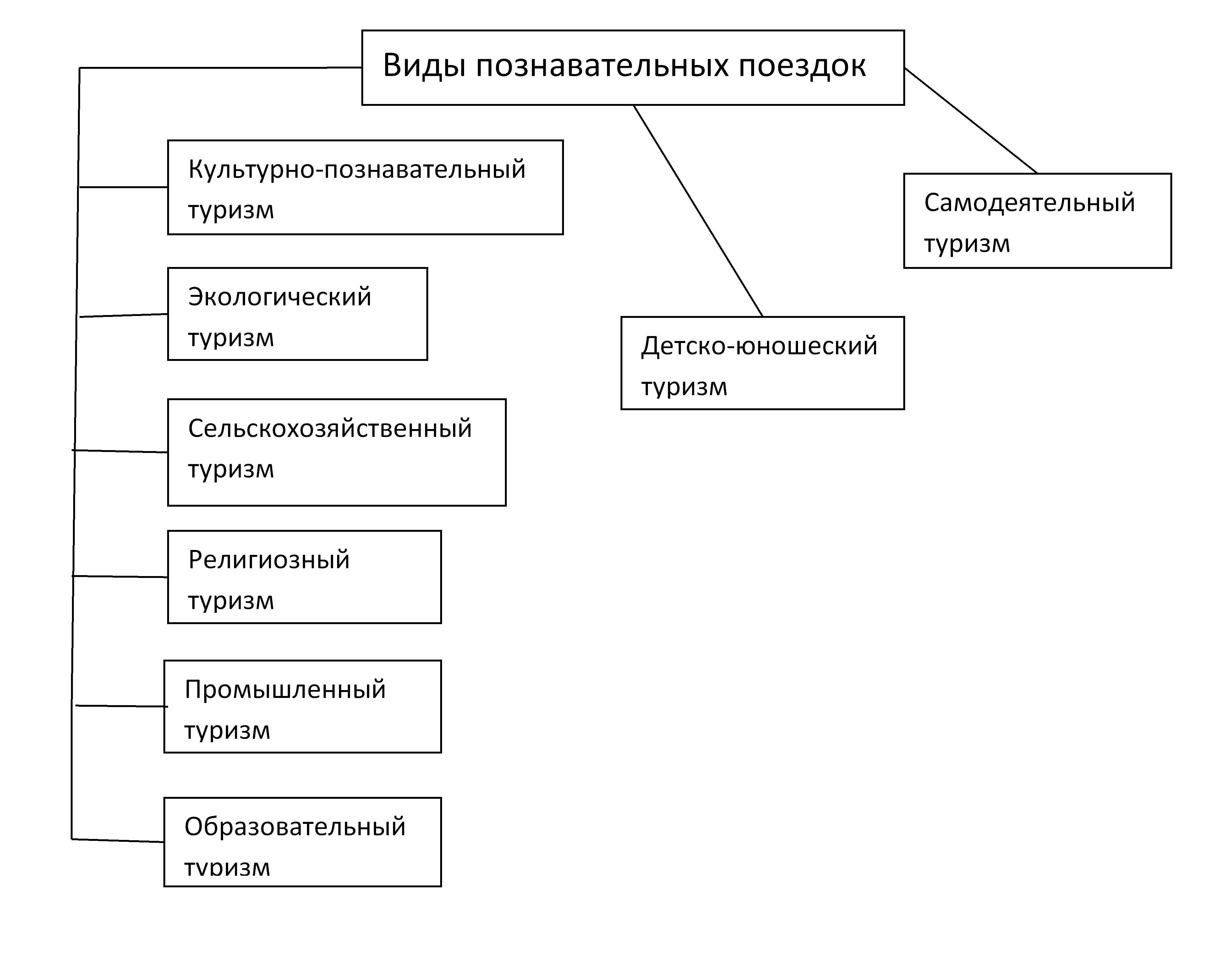 Составить таблицу видов туризма