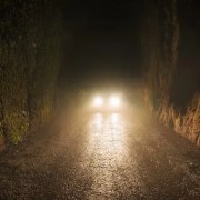 Driving in the Dark