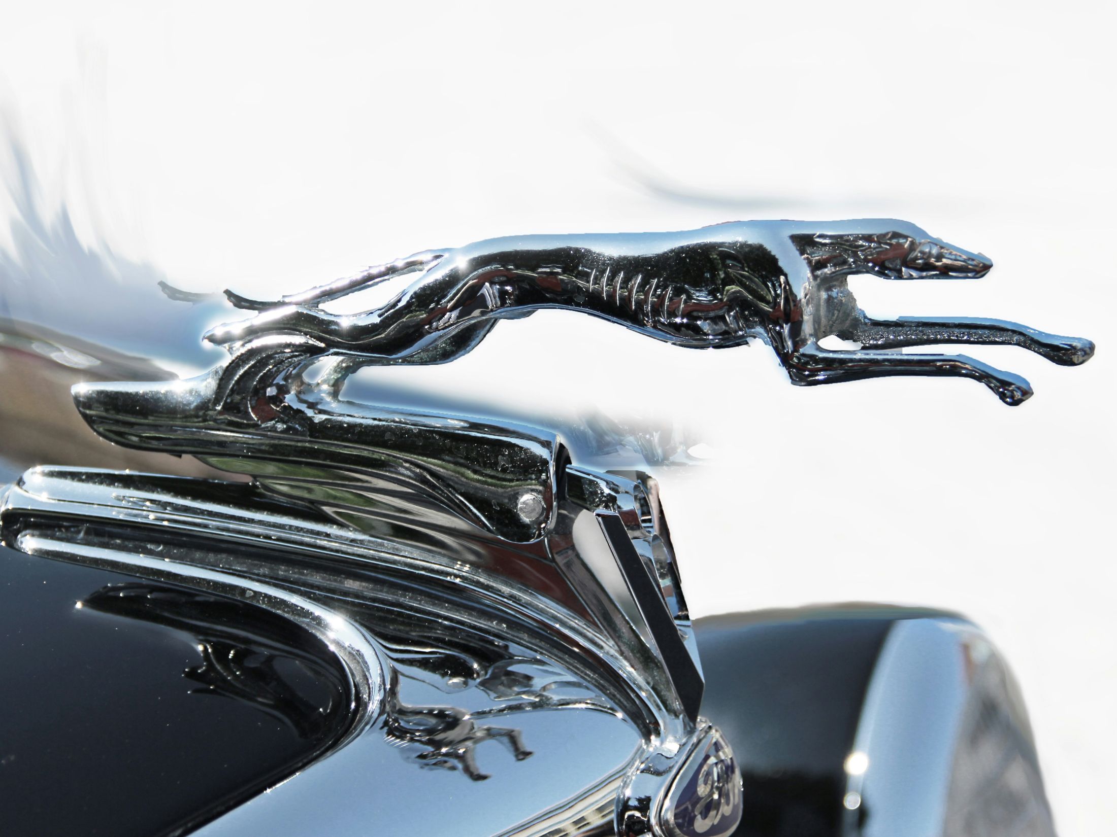 node.js 24 javascript development coding developers programming undici npm