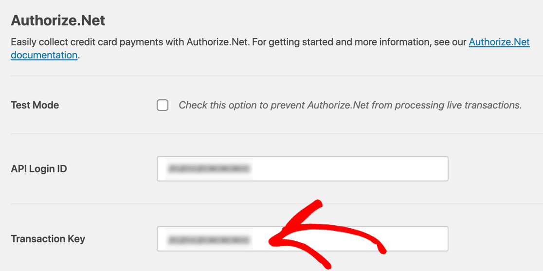 authorize net payment key