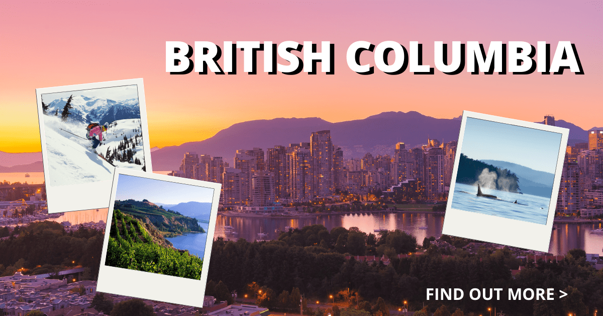 Physicians for You - Social Media Management