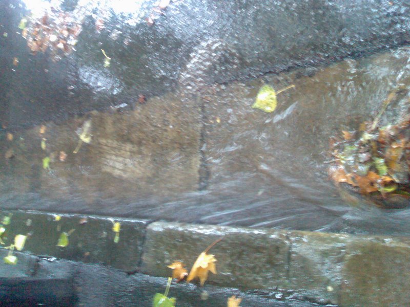 Sydney Gutter