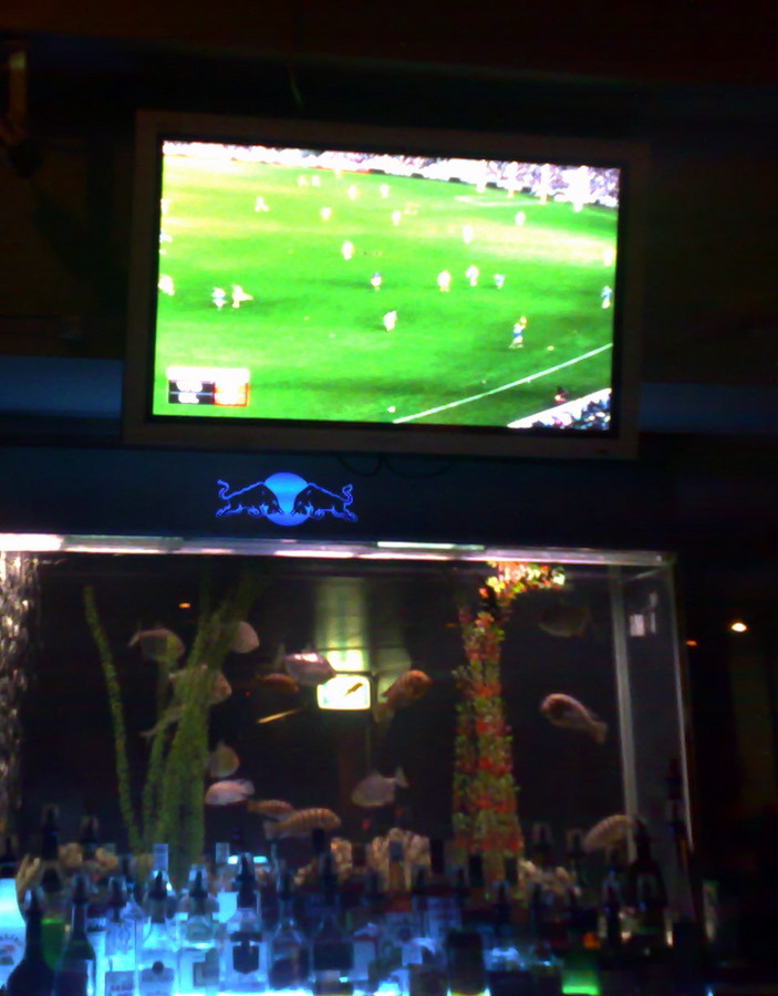 While Graeme watched the footy, I watched the fish in the tank below.