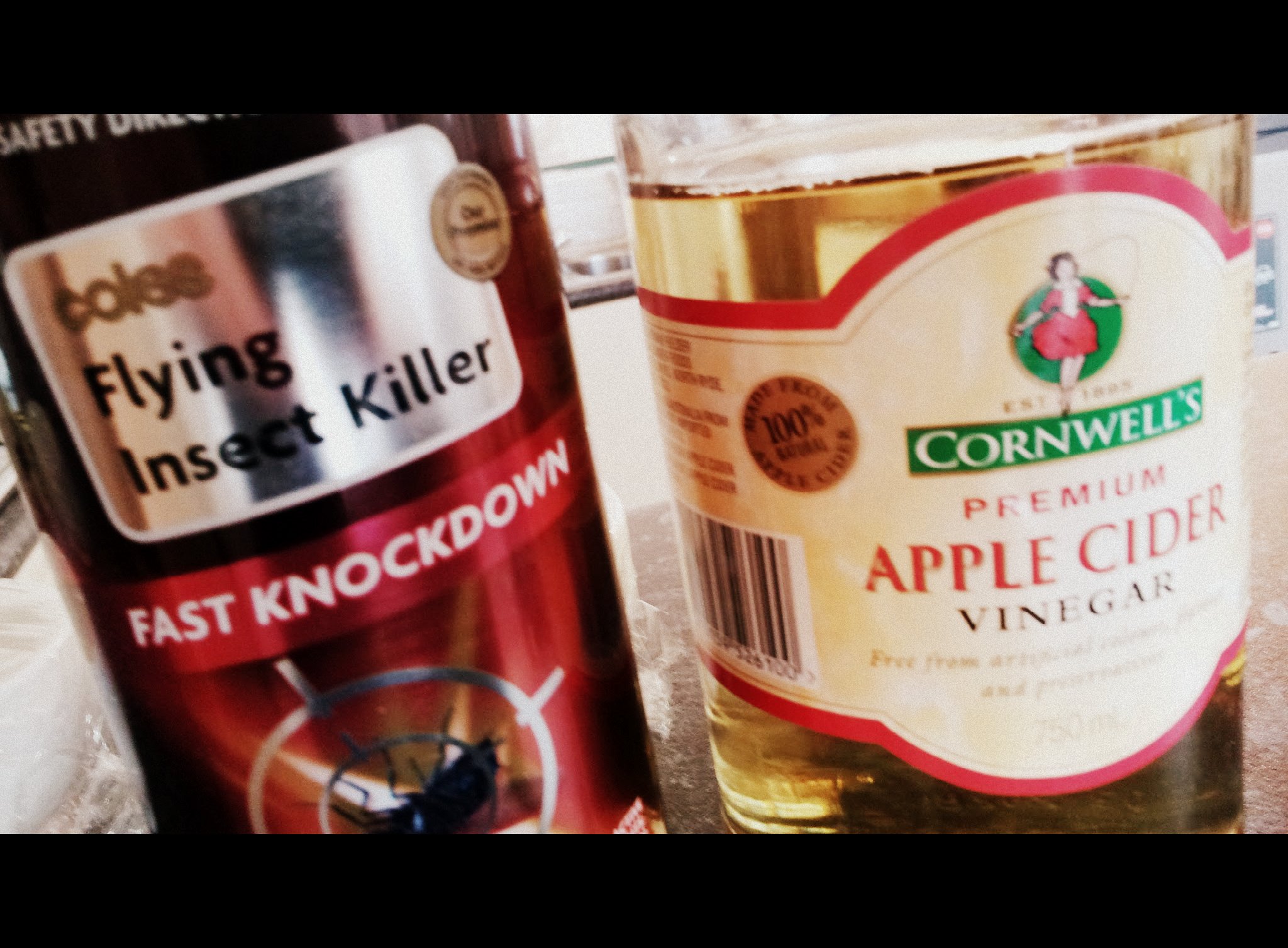 Fruit Fly Solution