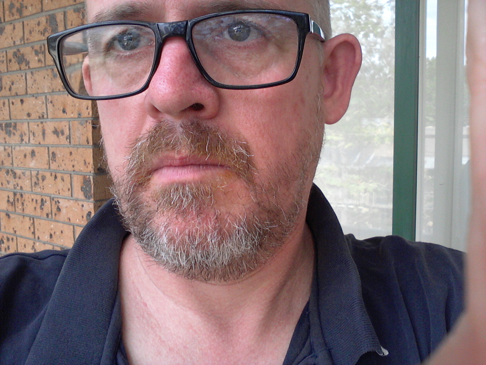 Update On The Beard
