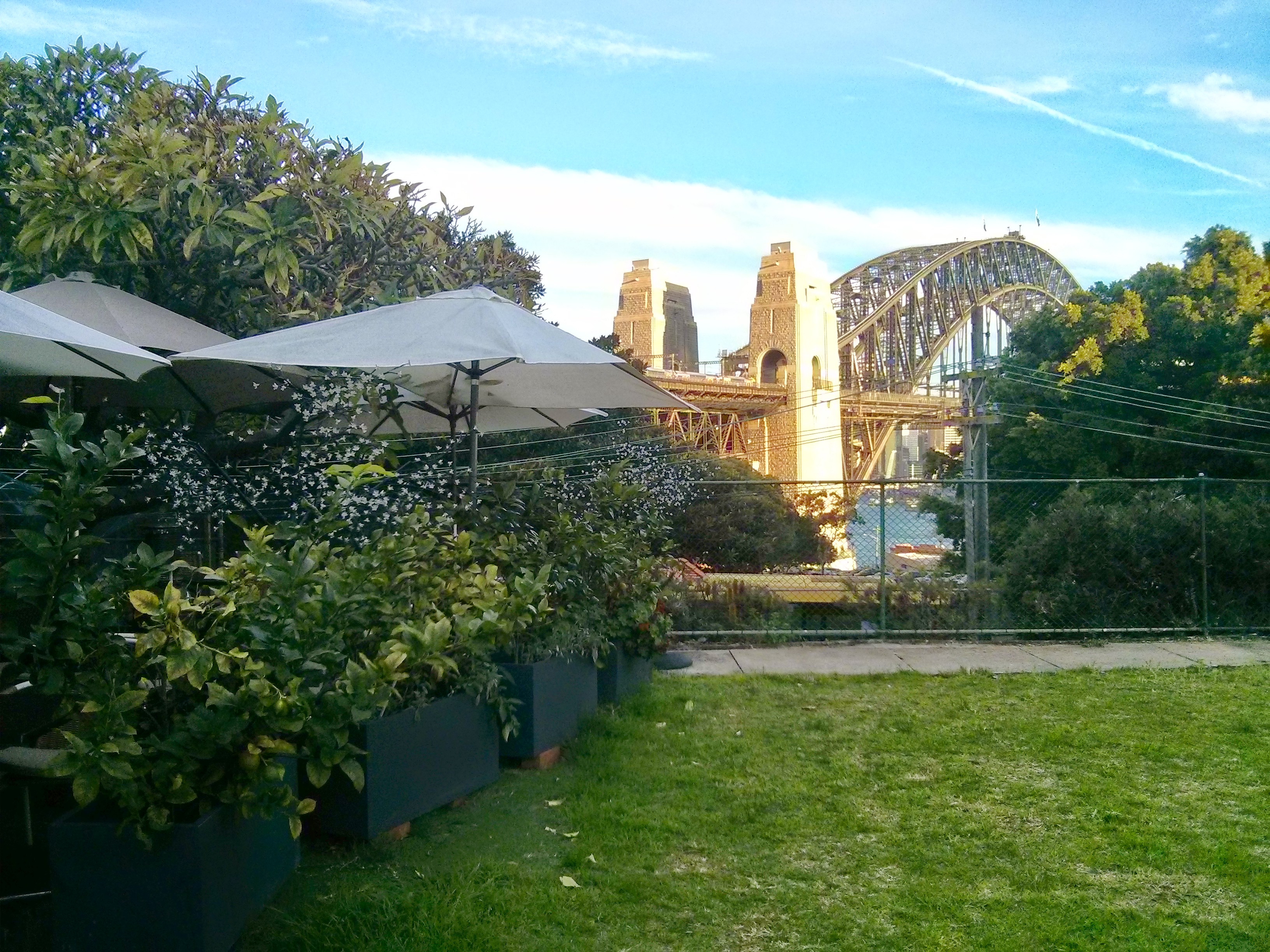 The view from La Capannina Restaurant in Milsons Point, Sydney.