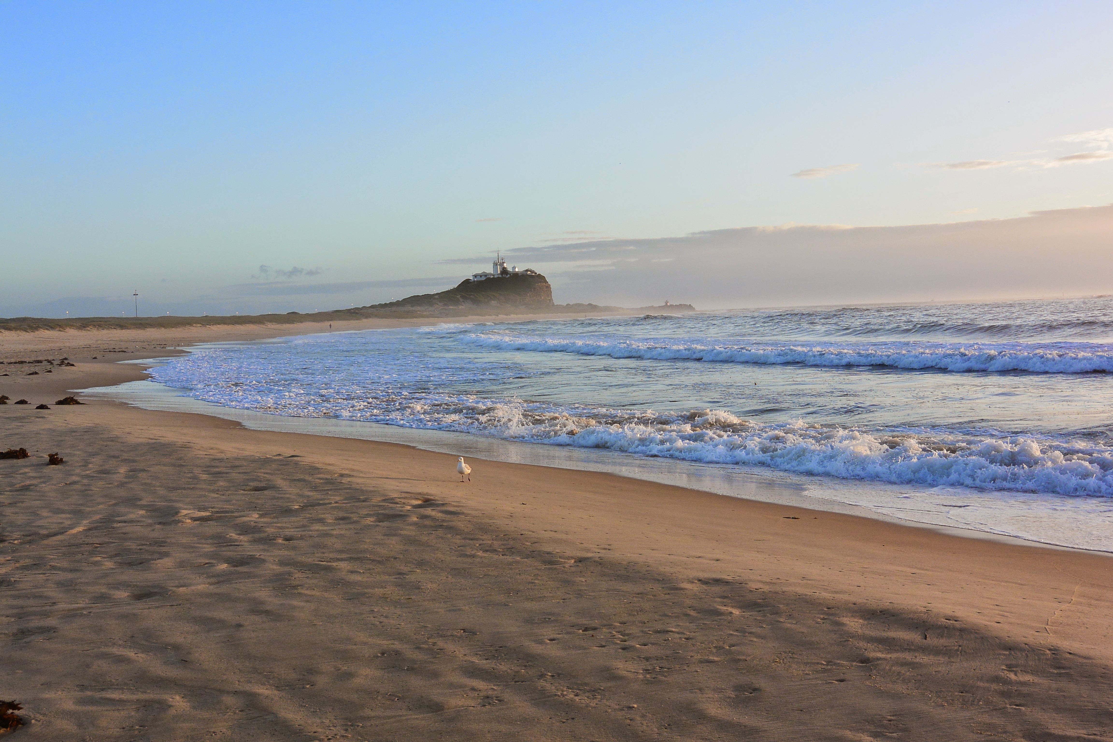 Nobby's Beach, Newcastle