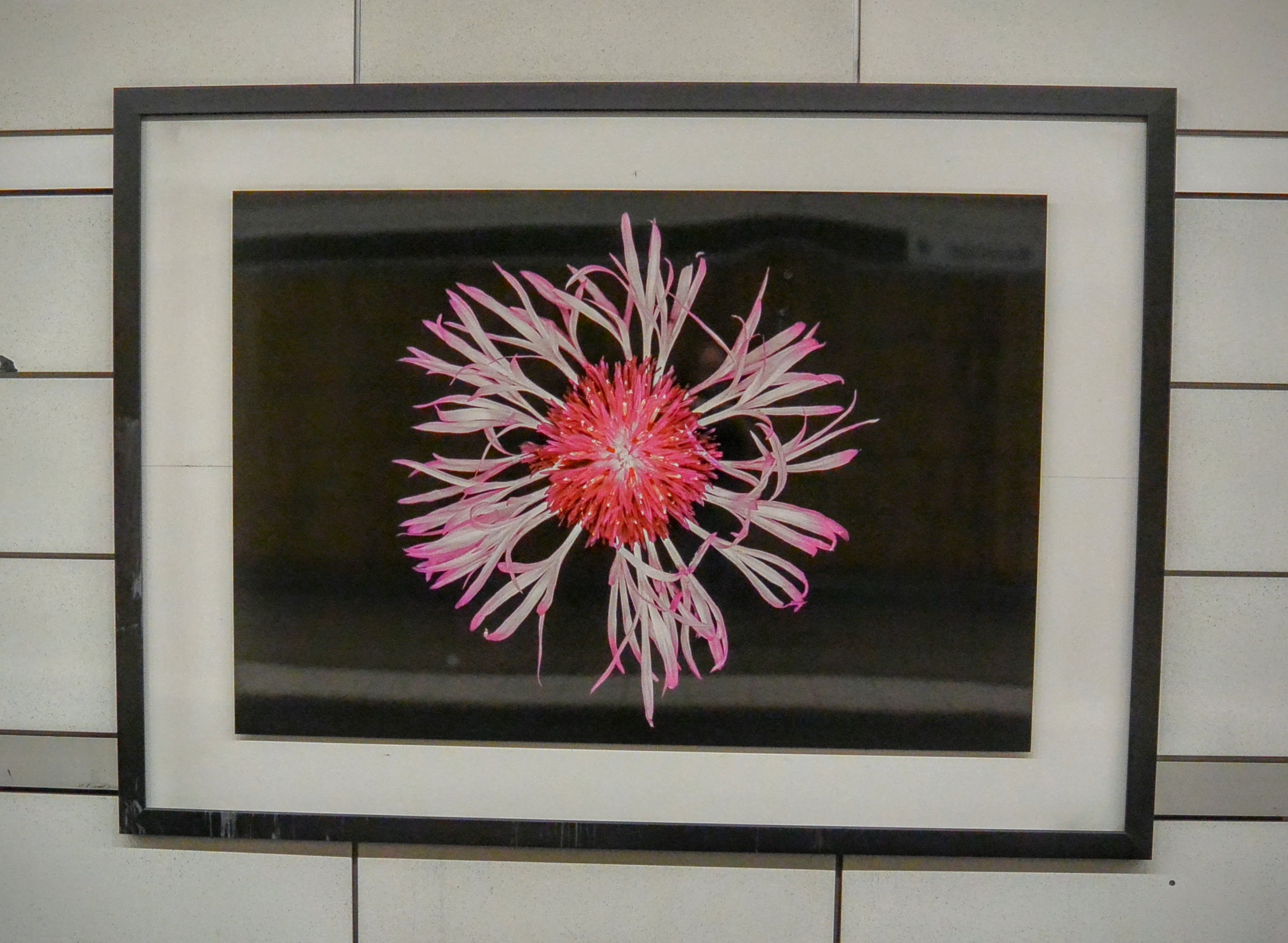 Helene Schmitz artwork in the Mariatorget T-bana in Stockholm
