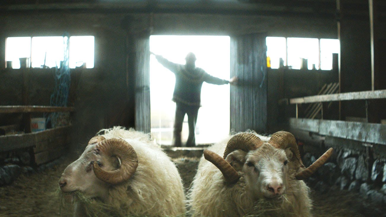 Rams / Hrutar