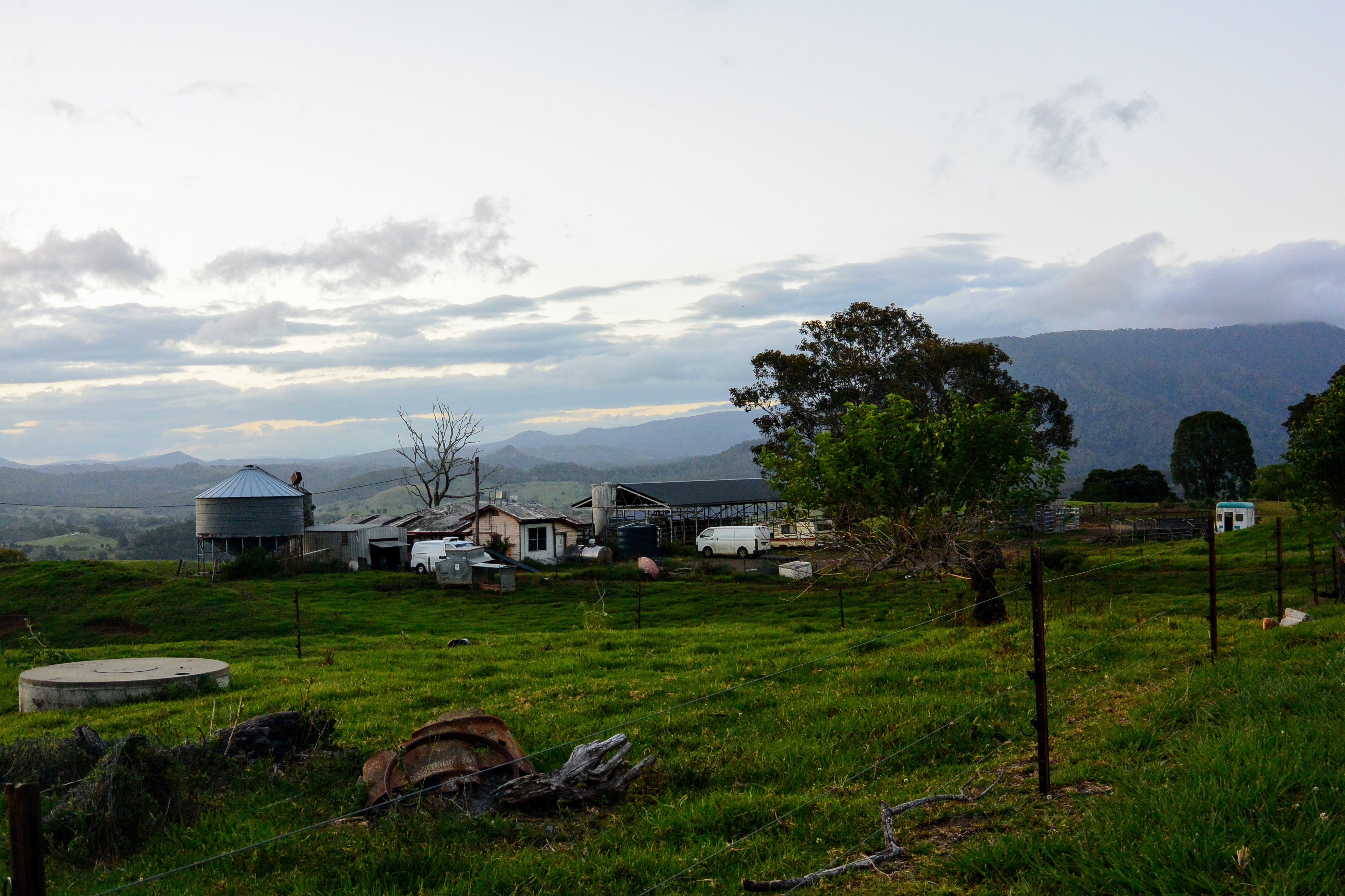 Visiting Nimbin