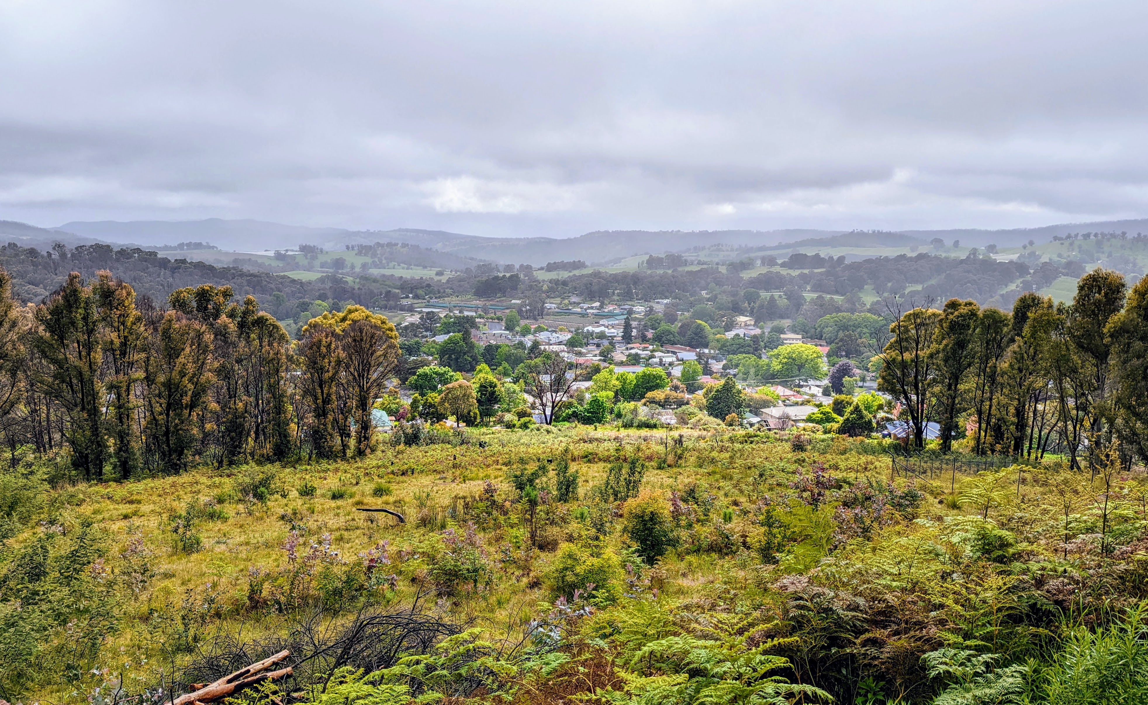 Tumut & Batlow