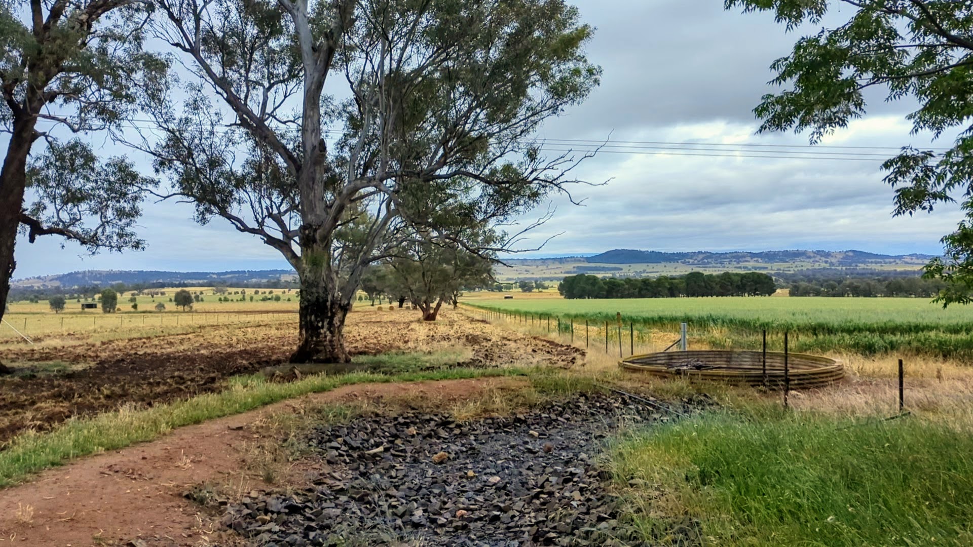 Wagga Wagga
