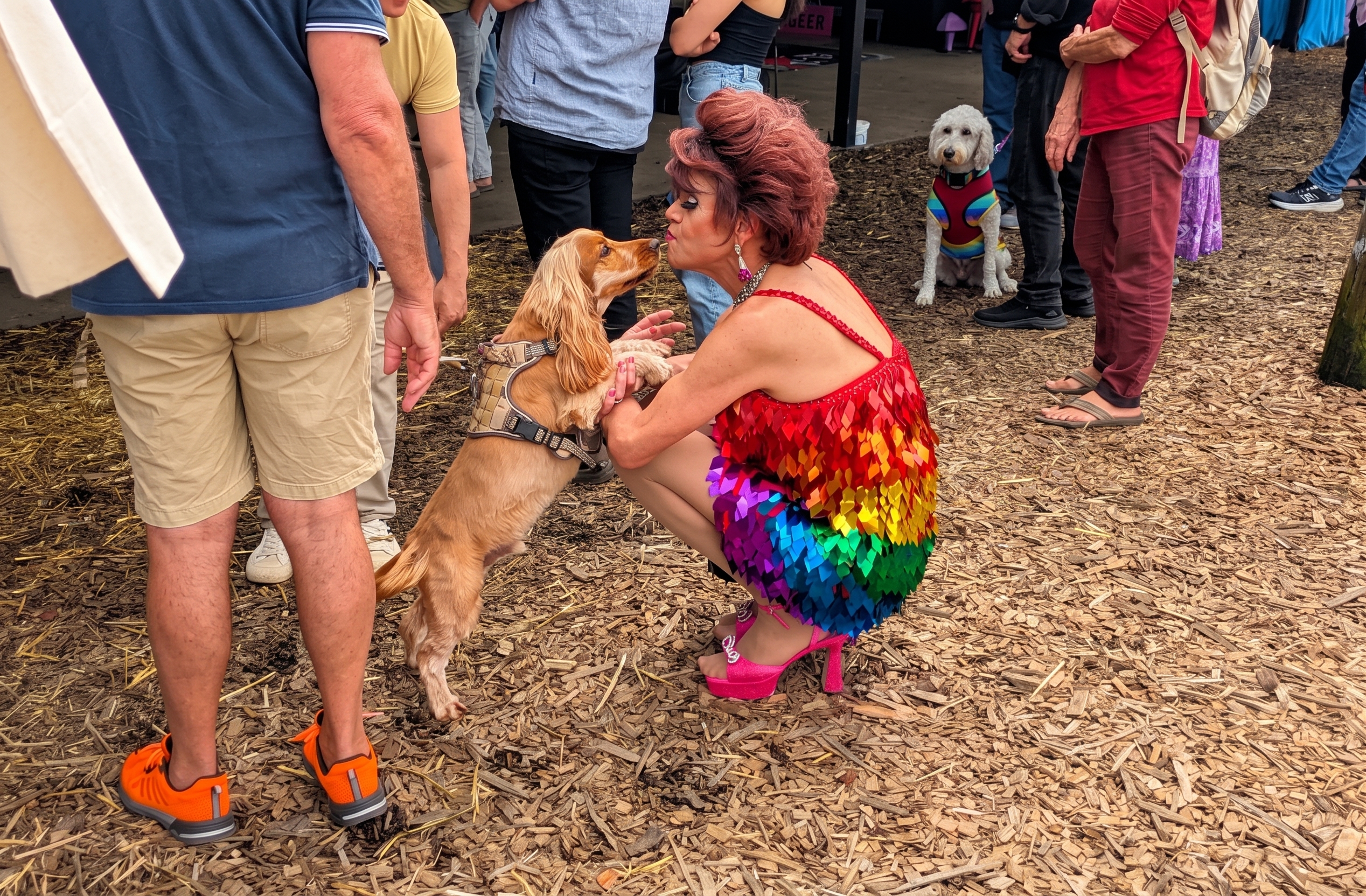 Fruitopia, Kate Bush, and CWA Pickles
