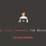 Basic Linux Commands For Beginners - The Linux Tutorials