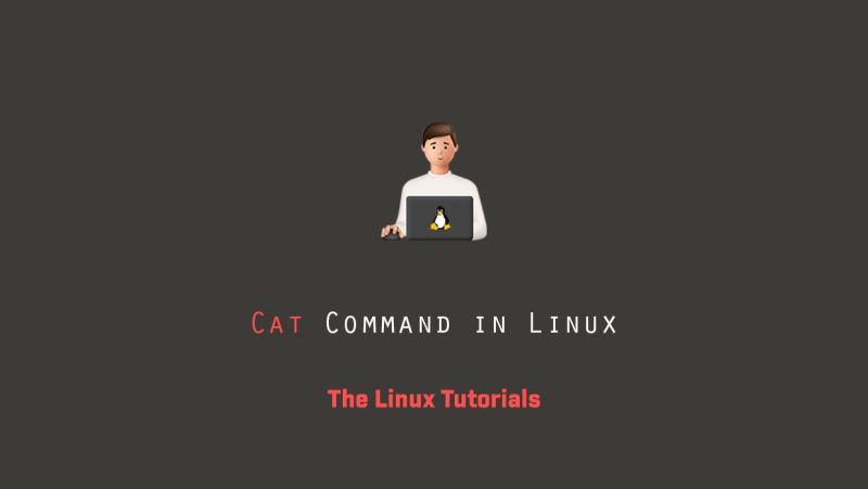 Linux Command Line Basics Tutorials Cat Command In Linux Youtube - Incredible Colorful Photo - Full HD