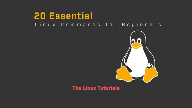 20 Essential Linux Commands For Beginners The Linux Tutorials - Premium Minimal Wallpaper Gallery - Full HD