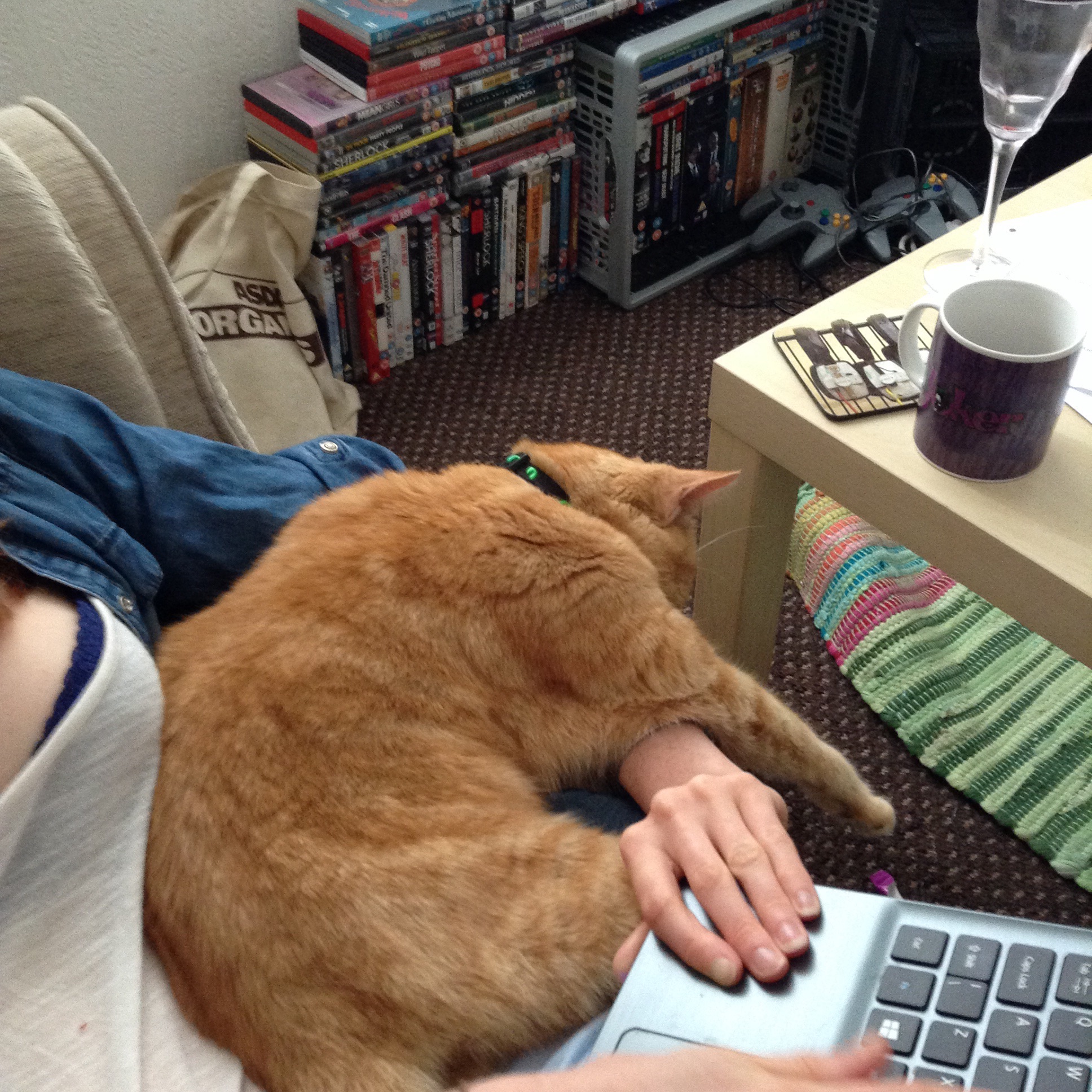 Peanut helping me work