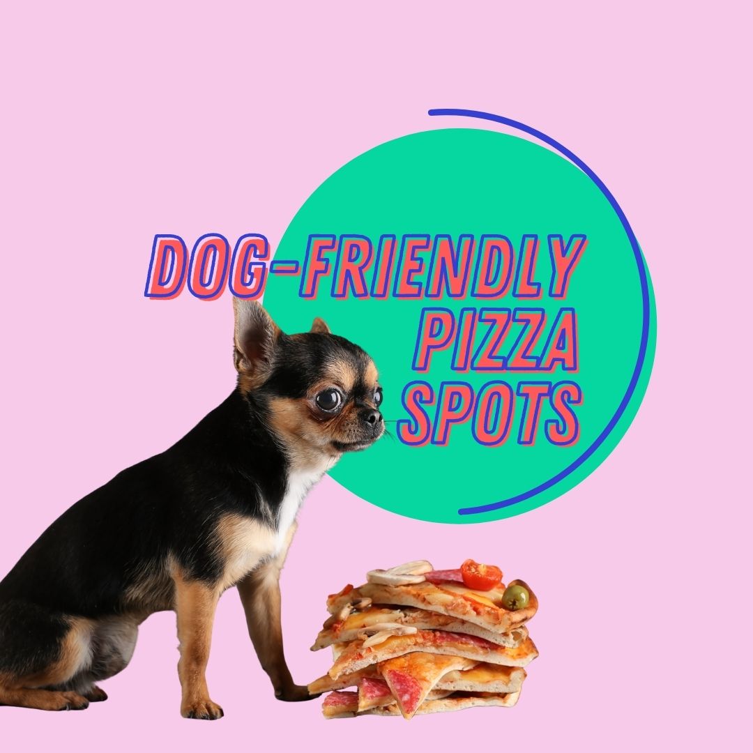 Dog-Friendly Pizza Blog