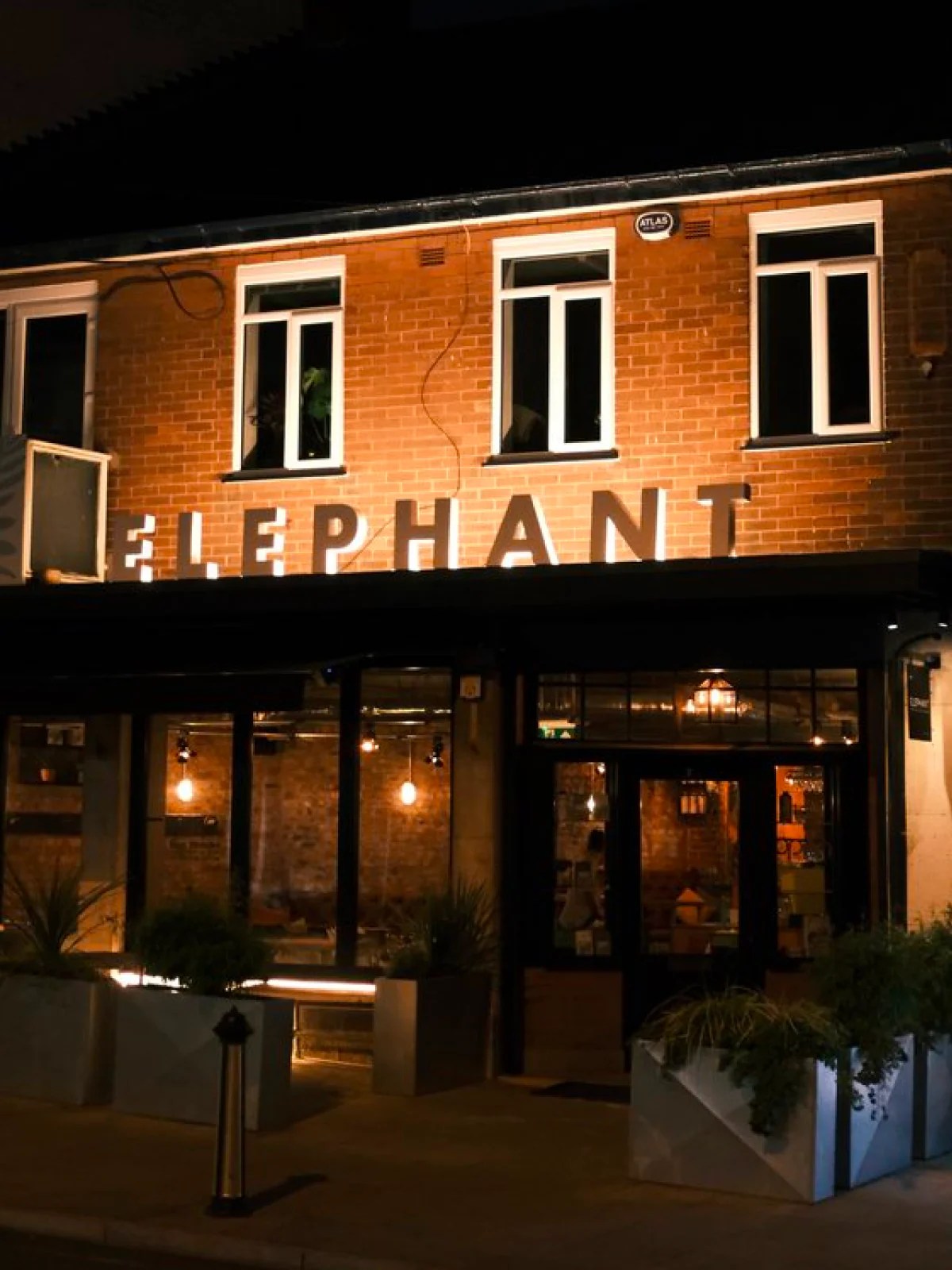 Elephant – Neston
