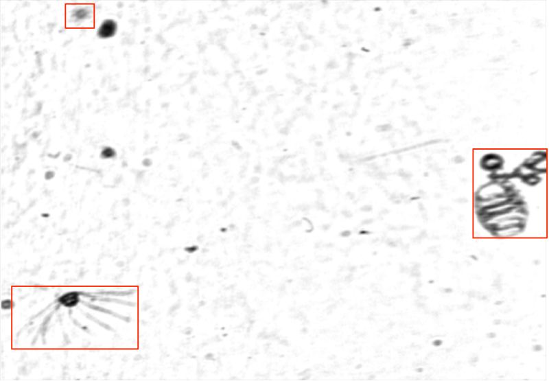 Thelma Njue Github - Professional Full HD Gradient Patterns | Free Download