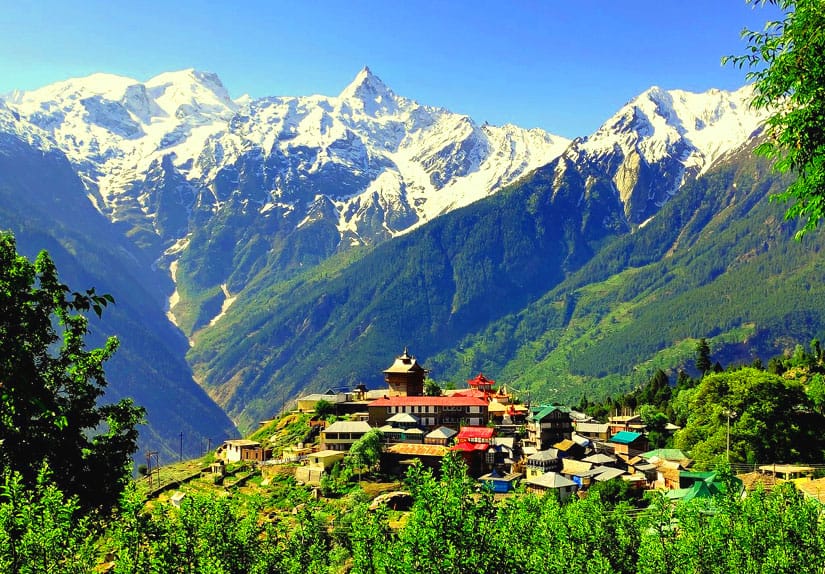 Zangti: Growing Native Produce of Kinnaur, Himachal Pradesh - The Locavore