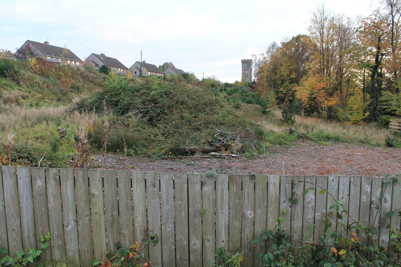 Scottish Ministers approve community buyout bid for Cumberland Avenue