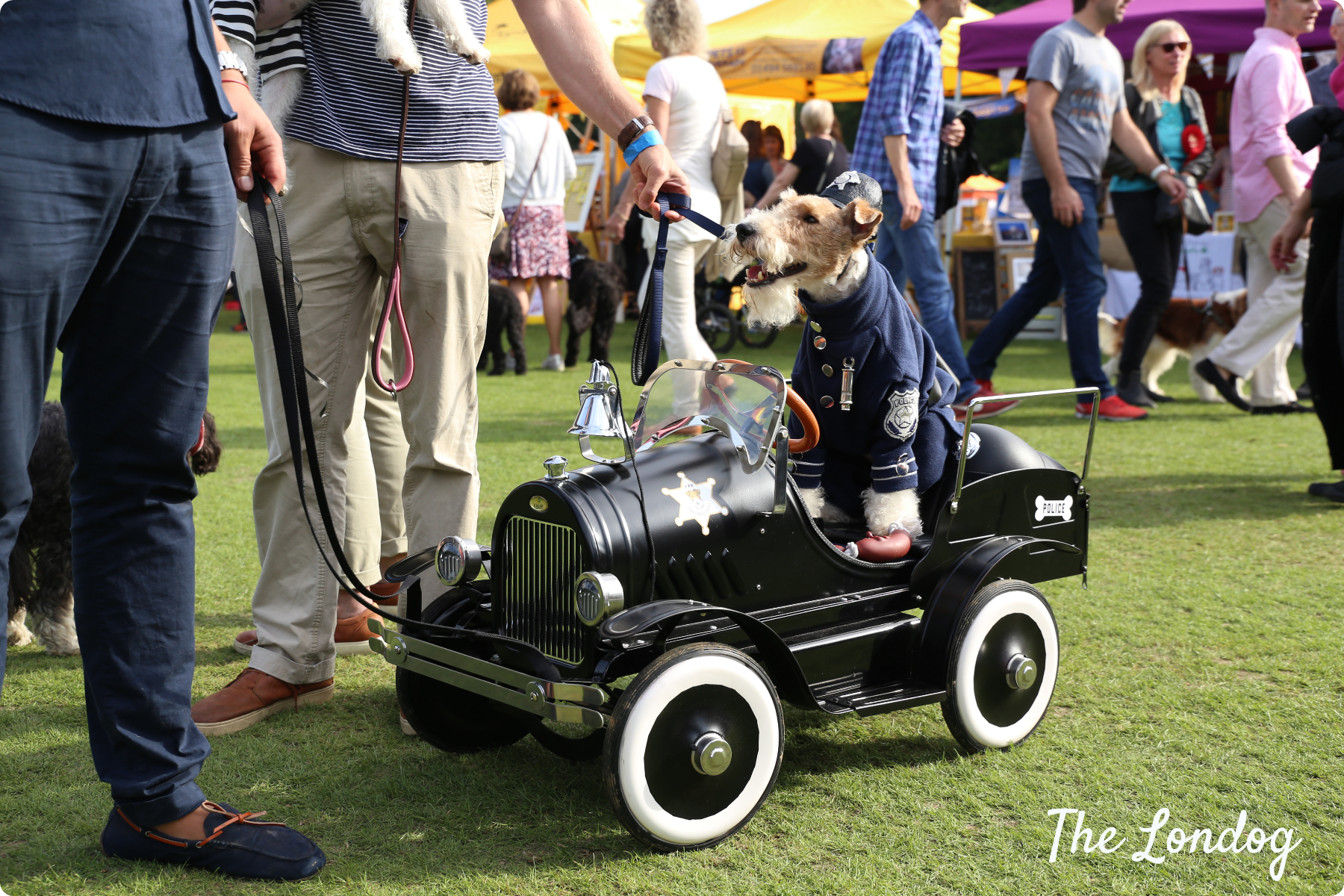 Chiswick House Dog Show 2017 A Dog Digest The Londog