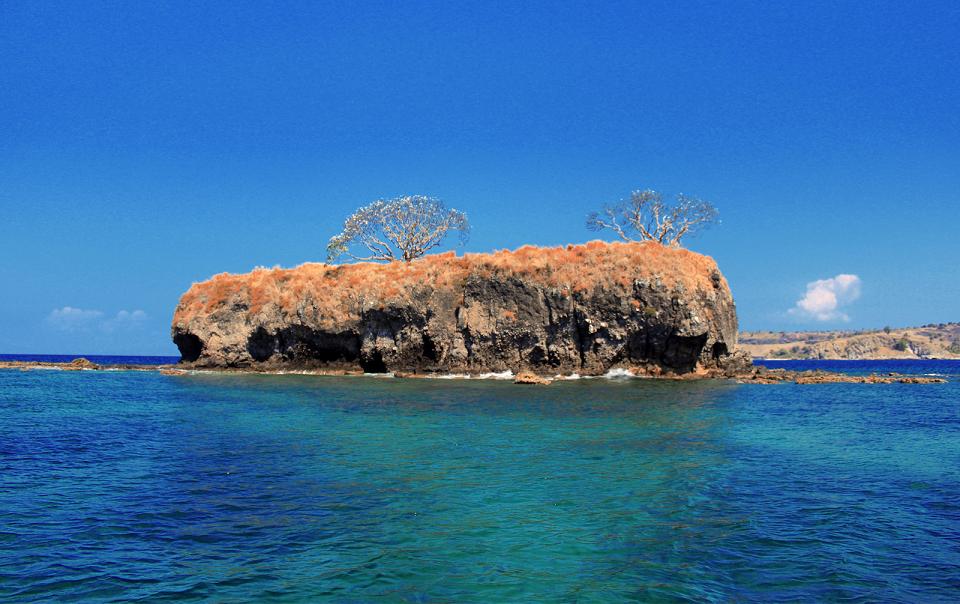 Mengerikan Pulau Di Bima Ini Dihuni Ribuan Ular Dream Co Id 