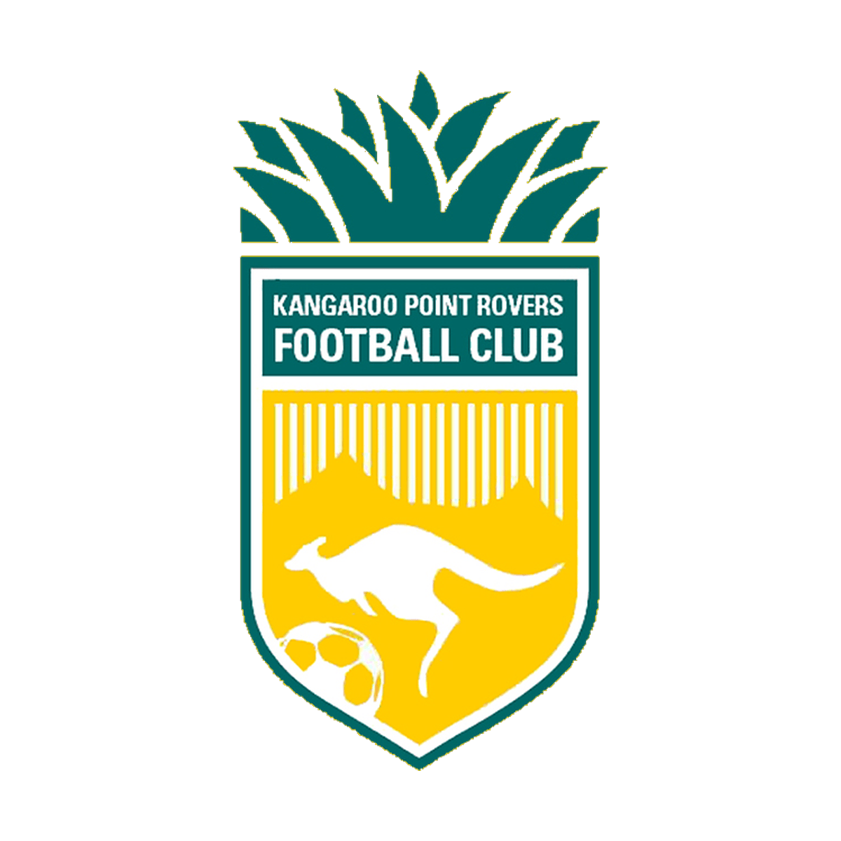 Kangaroo Point Rovers