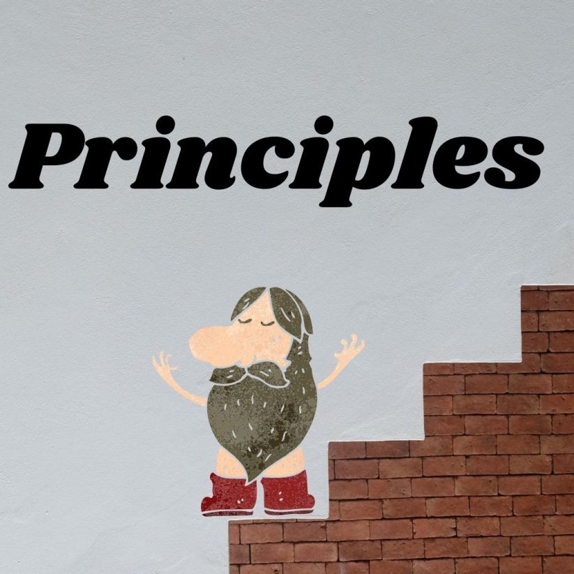Principles principles