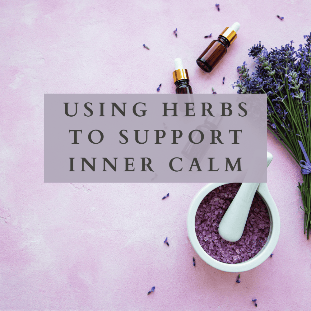 Using Herbs to Support Inner Calm Guide
