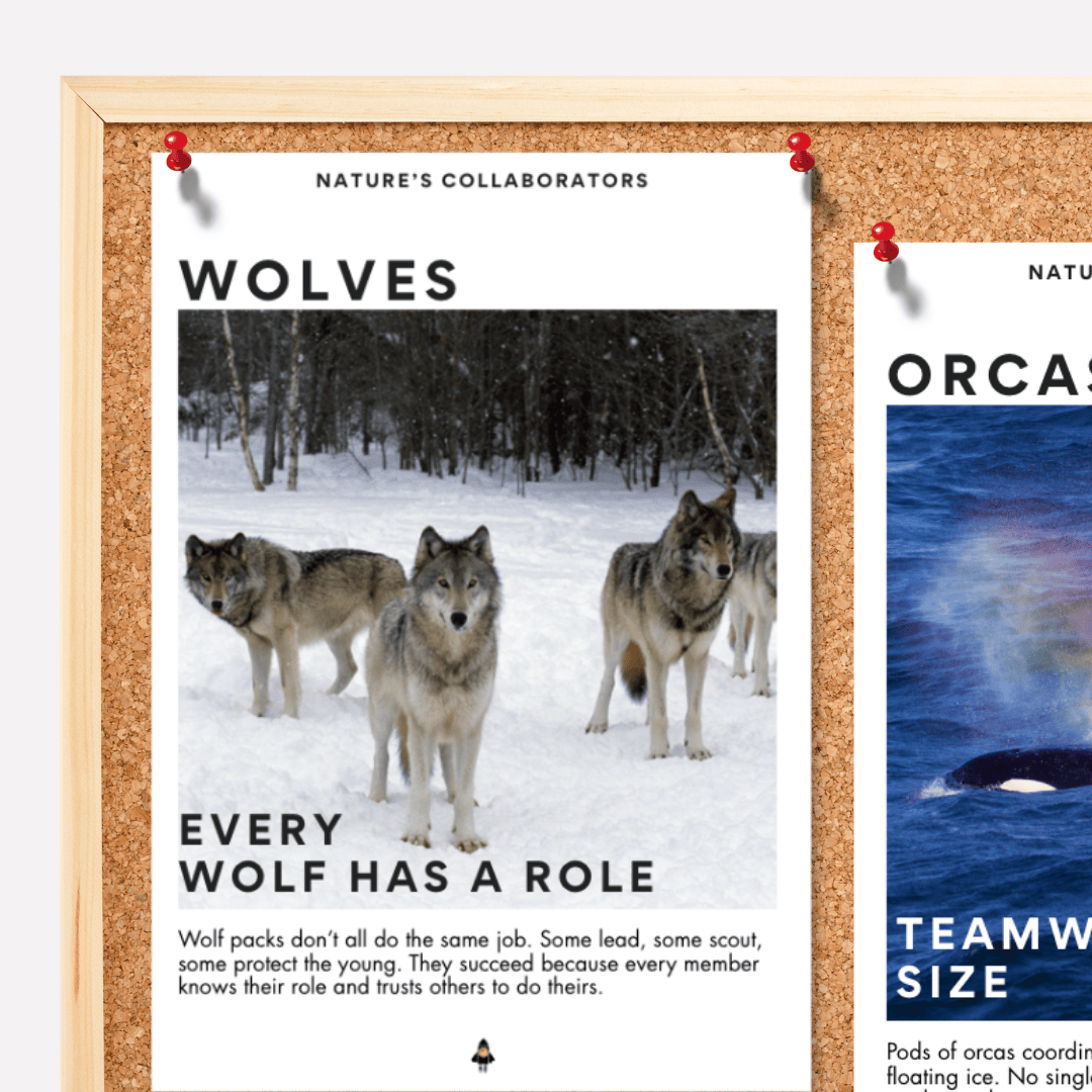 Real World STEM Provocations: Nature's Collaborators Pack