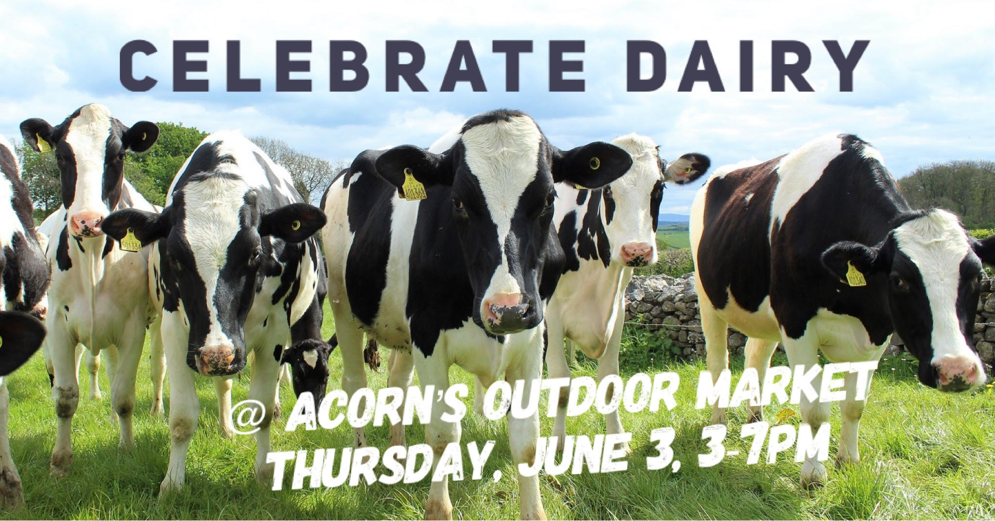 Michigan's first case of sin nombre hantavirus in a human has been found in washtenaw county, officials said monday. Celebrate Dairy at the outdoor Farmerâs Market this week