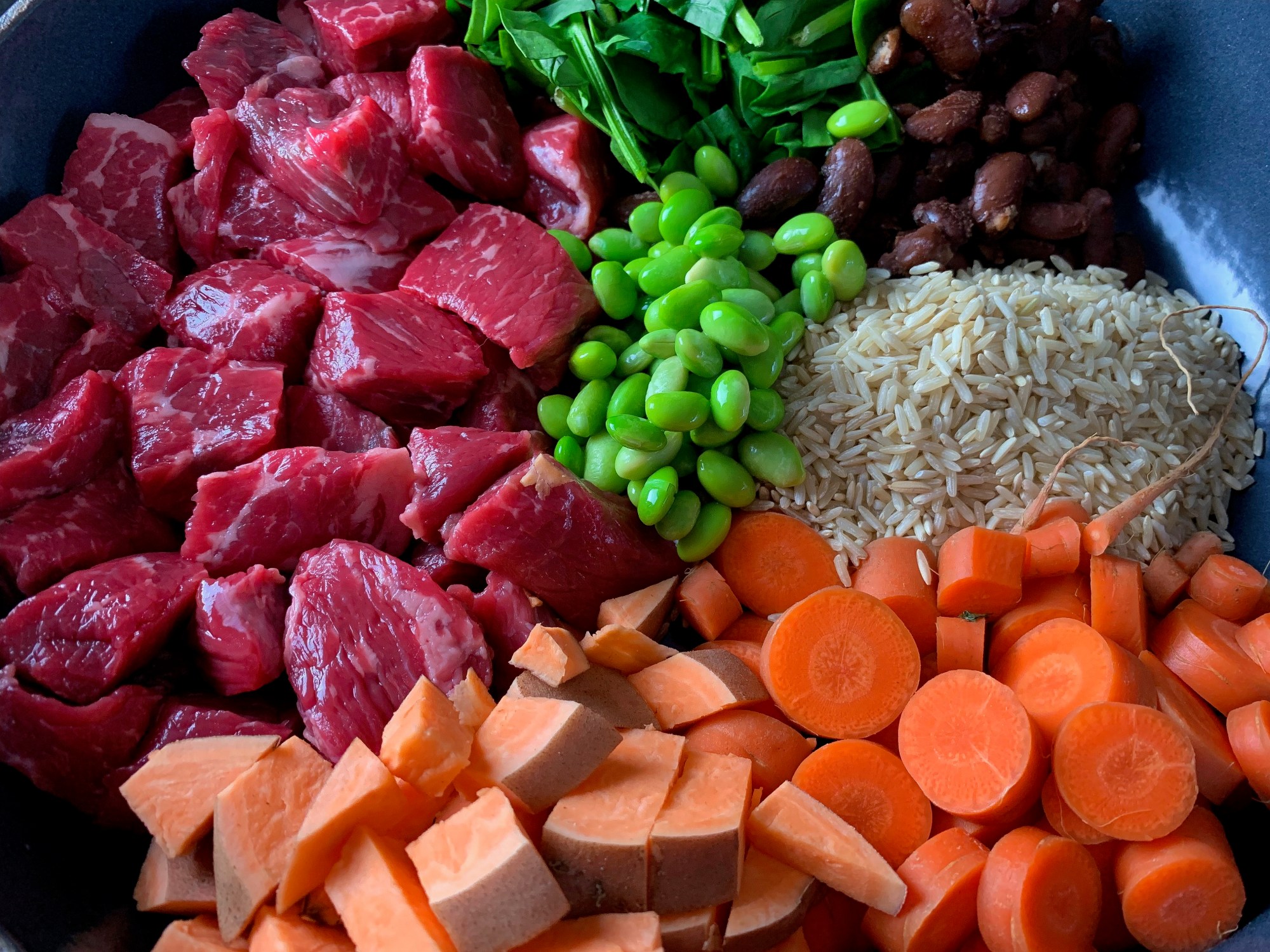 A Quick Recipe for Homemade Pet Food & Why I Started Cooking for our Dog!