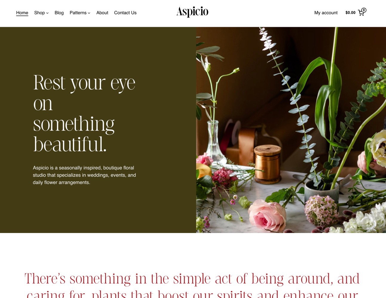 Aspicio is a beautiful, minimalistic block theme for your e-commerce site. It draws the eyes of consumers with its looks and keeps them shopping with its user-friendly interface.