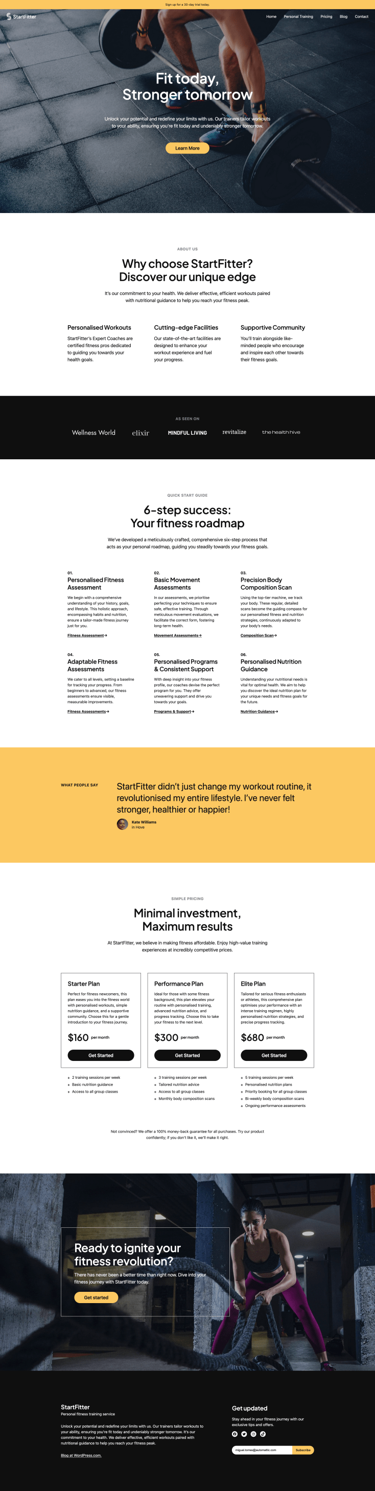 Screenshot of the StartFit theme