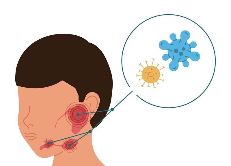 Glândula submandibular: para que serve?