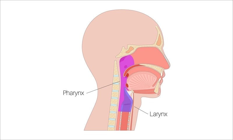 Hipofaringe: doenças, sintomas e tratamentos