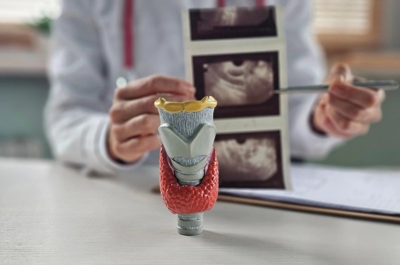 Tireoglobulina: o que é e sua importância para a saúde