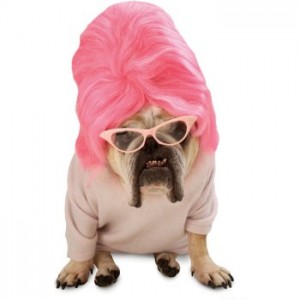 Watch Out Little Pooch It S National Dress Up Your Pet Day Theme A Party